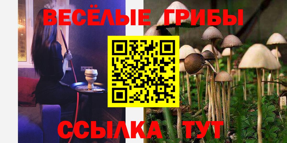 Галлюциногенные грибы Magic Shrooms  закладка  Советская Гавань  Вход с VPN 